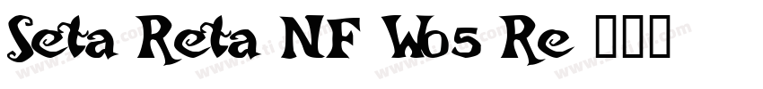Seta Reta NF W05 Re字体转换